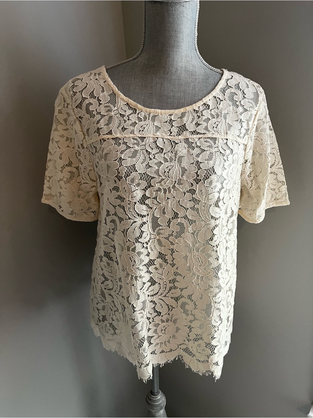 LOFT Cream Floral Lace Short-Sleeve Blouse